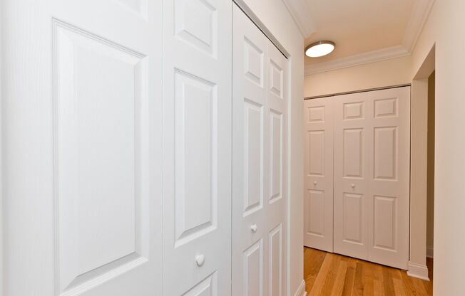 Studio, 1 bath, $1,165, Unit 503