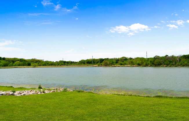 a grassy area next to a lake with trees in the background