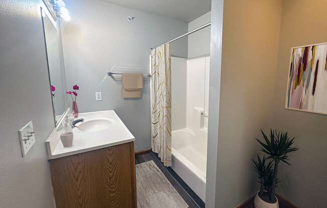 a bathroom with a shower and a sink and a mirror