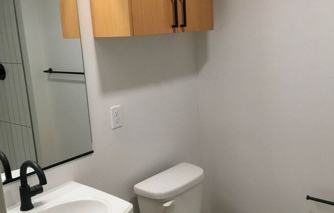 Studio, 1 bath, 254 sqft, $1,207, Unit 419