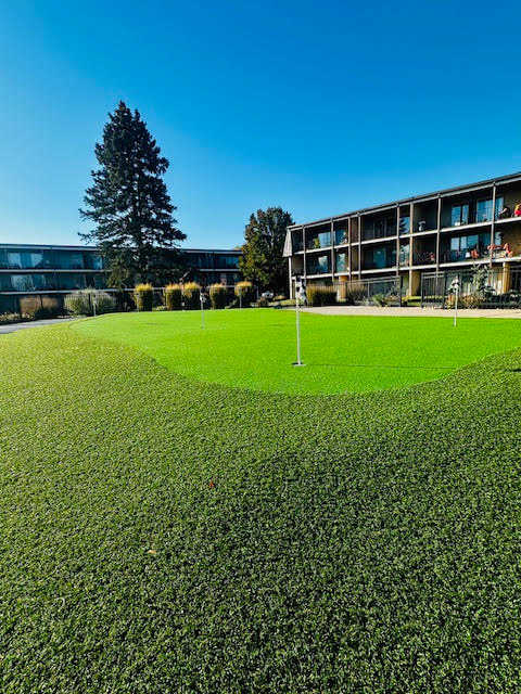 A grassy field with a goal post in the middle.