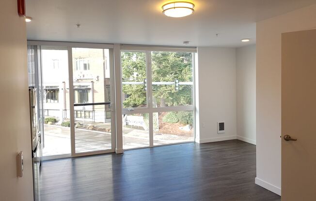 Studio, 1 bath, 355 sqft, $1,233, Unit 407