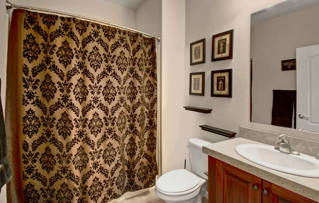 Prairie Vista Bathroom Apartment Rentals Williston, North Dakota