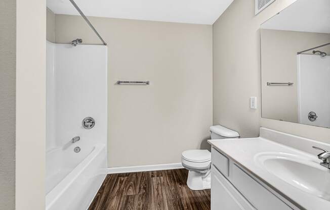 a bathroom with a shower toilet and sink and a mirror