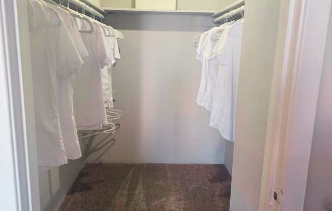 Large walk in closet