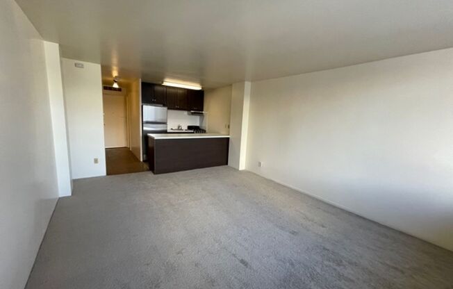 Studio, 1 bath, 360 sqft, $1,050, Unit 309