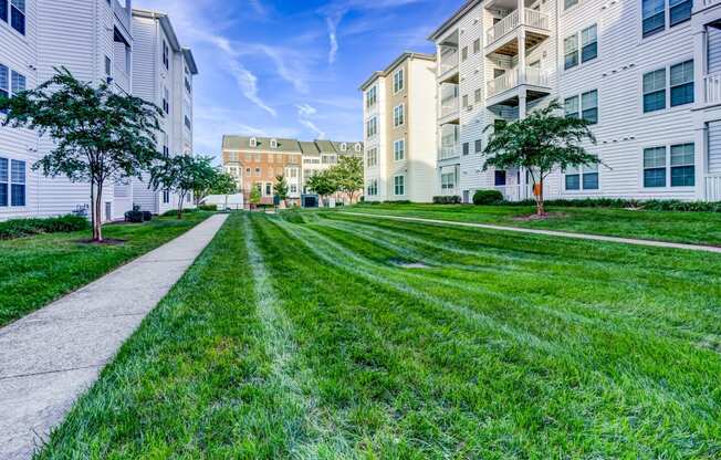 Green Space at MetroPlace at Town Center, Camp Springs, 20746