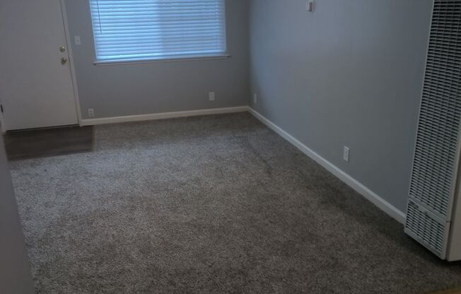 540 - 2970 Magliocco