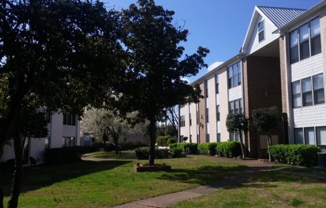 2 beds, 1 bath, $1,500, Unit 246 D2