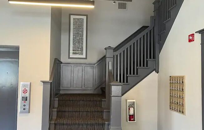 1 Bedroom in Downtown