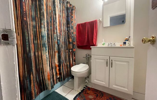 1 bed, 1 bath, 500 sqft, $895, Unit 217