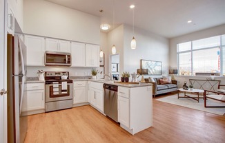 Ritz Classic 2 Bedroom Kitchen and Living Room