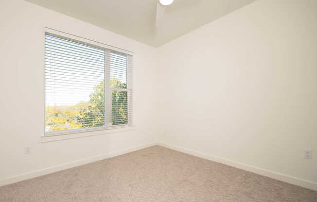 Carpeted Bedroom