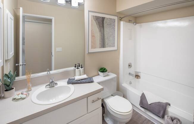 a bathroom with a toilet sink and tub and a mirror