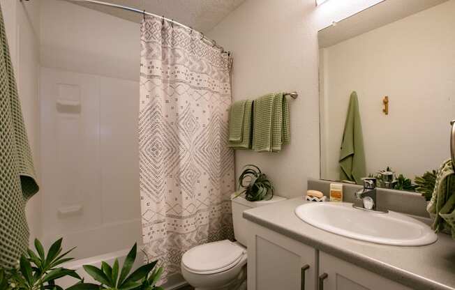 a bathroom with a shower toilet and sink