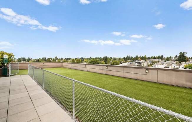 A chain link fence separates a green field from a sidewalk.