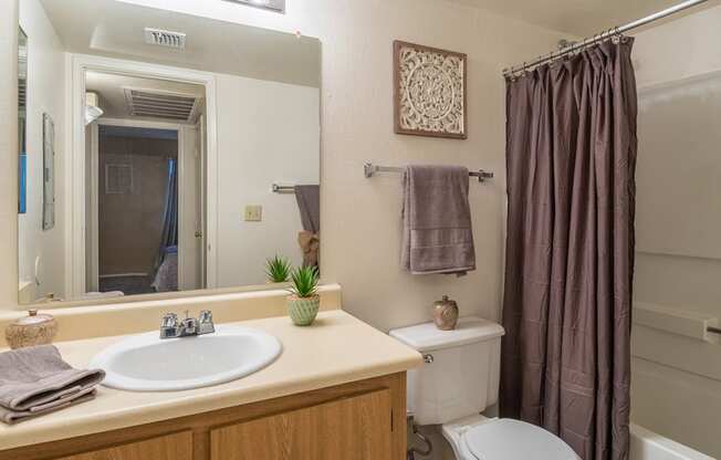 Cantera bathroom with sink, shower, and drawers