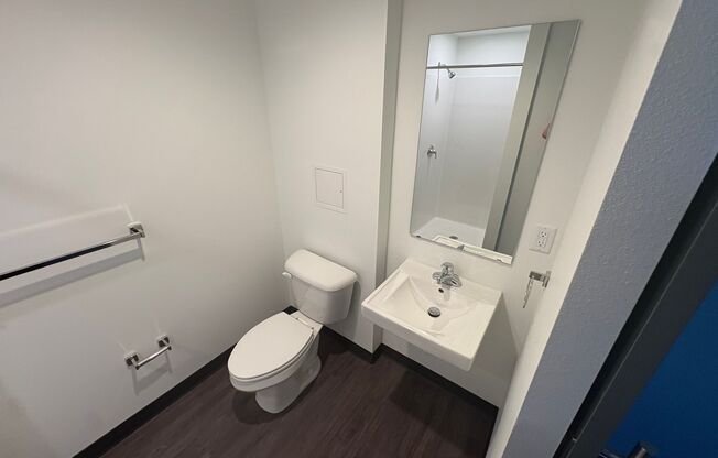 Studio, 1 bath, 239 sqft, $925, Unit Z-438