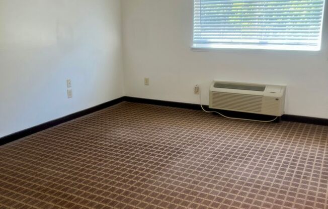 Studio, 1 bath, 329 sqft, $1,050, Unit 223