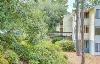 Green Landscaping at River Crossing Apartments, Thunderbolt, Georgia