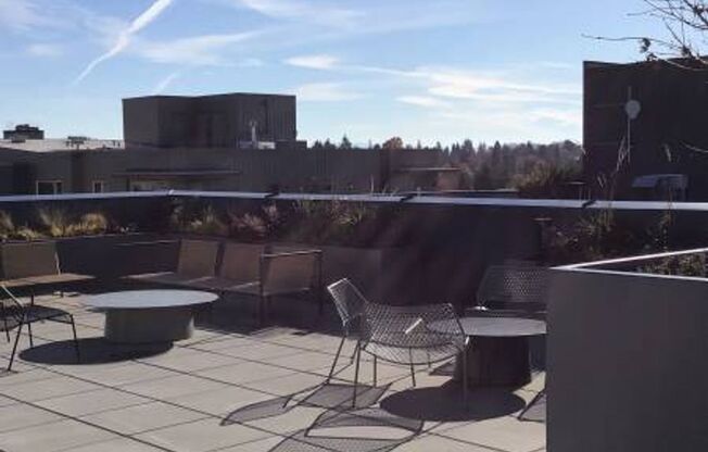 Studio, 1 bath, 355 sqft, $1,233, Unit 407