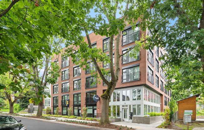 Studio, 1 bath, 363 sqft, $1,510, Unit 12