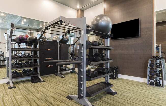 Specialized equipment in Fitness Center at Residences at The Green in Lakewood Ranch, FL