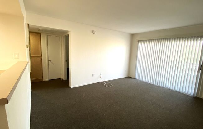 1 Bedroom Condo - Russell/Buffalo