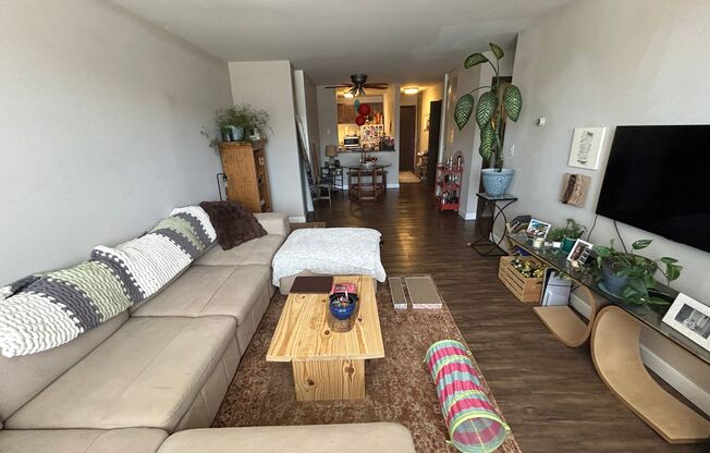 1 bed, 1 bath, $1,125, Unit 101