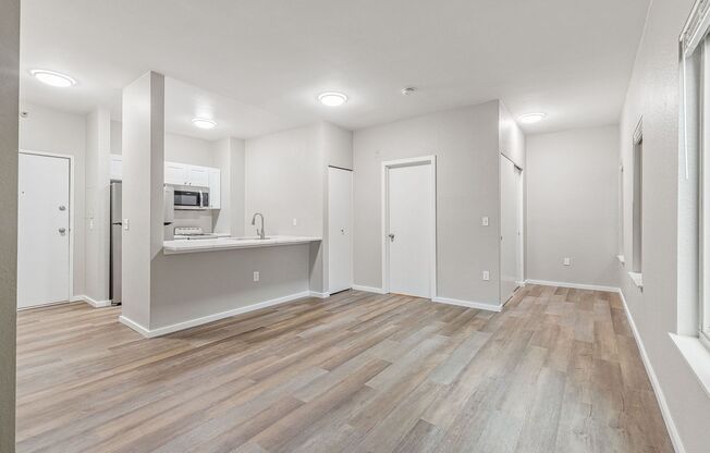 Studio, 1 bath, 360 sqft, $1,330, Unit 305