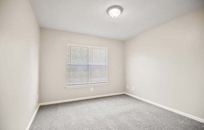 A room with a carpeted floor and a window with blinds.