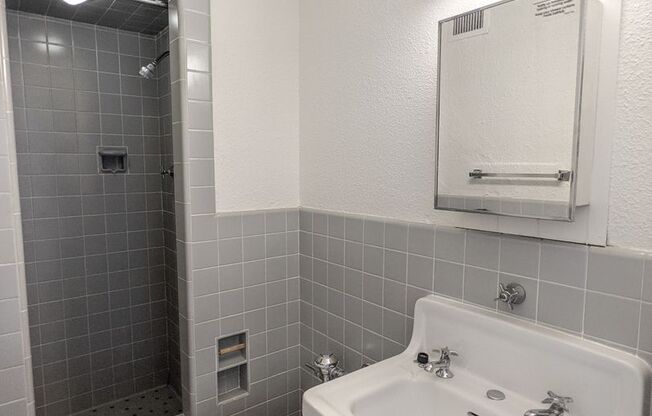 Studio, 1 bath, 200 sqft, $460, Unit 321
