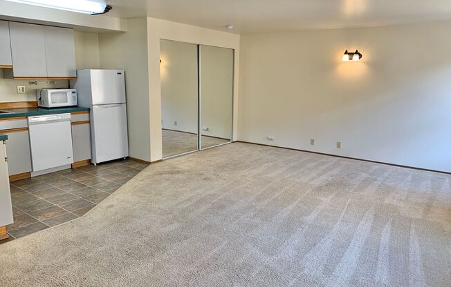 Studio, 1 bath, 460 sqft, $1,295, Unit 305