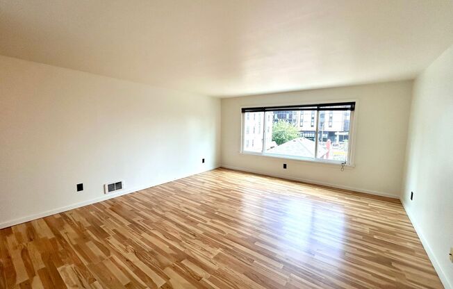 Studio, 1 bath, 464 sqft, $1,295