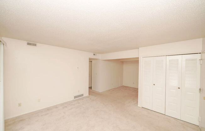 Living Room with Lots of Closet Space at Madeira Apartments in Kalamazoo, MI