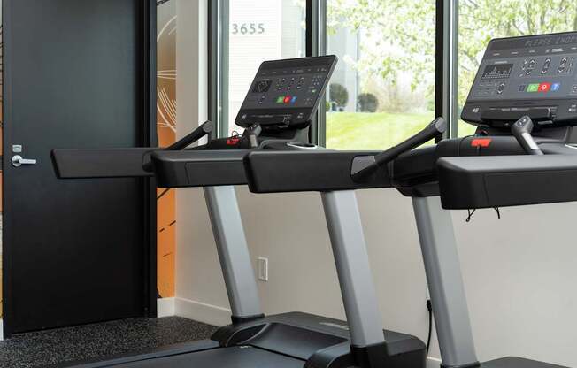 Two treadmills are in a room with a window showing greenery outside.