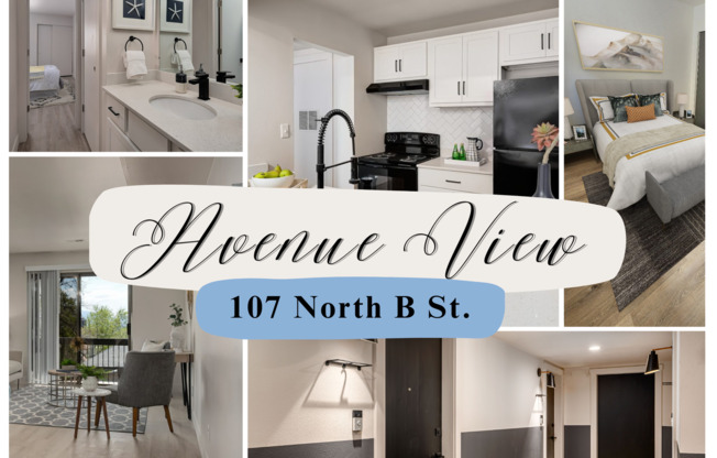 1 bed, 1 bath, 599 sqft, $1,499, Unit 03