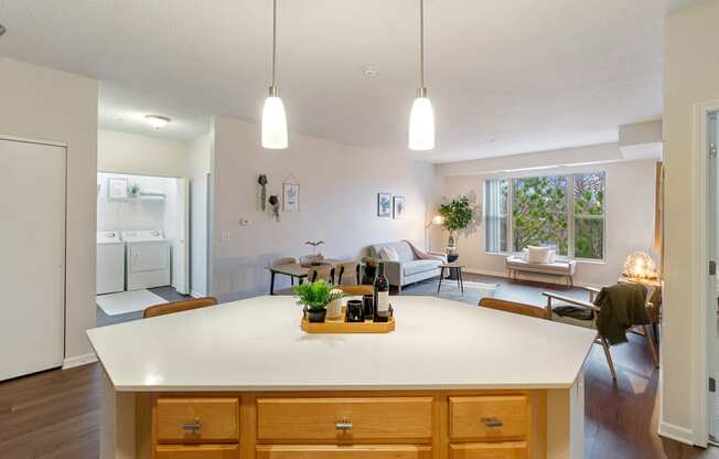 Dominium-Bluffs at Nine Mile Creek-Apt Overview