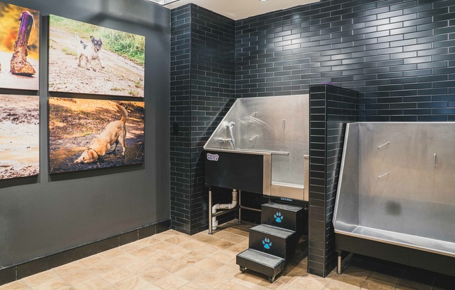 Modera Germantown features a convenient pet spa, offering a luxurious retreat for your pets.
