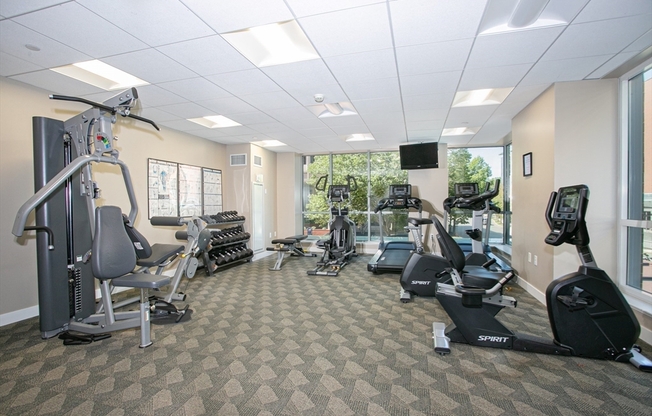 1 bed, 1 bath, 788 sqft, $2,850, Unit 507