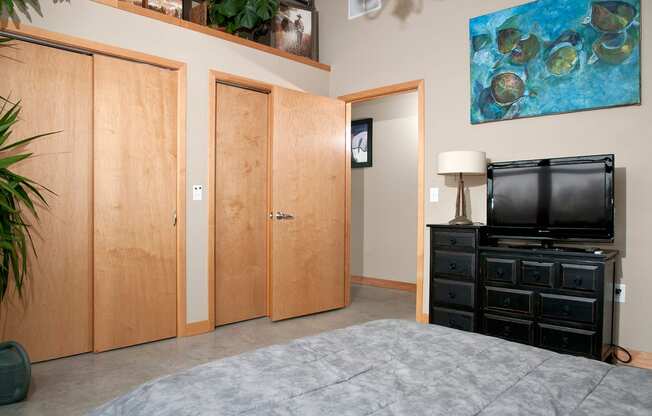 Closet at Buzza Lofts of Uptown, Minnesota