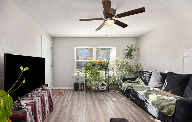 Fully Renovated 2 bed 1 bath in Grand Prairie!
