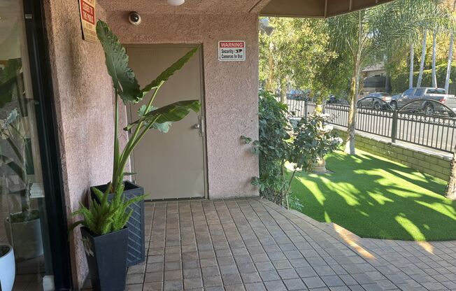 Las Palmas Apartments