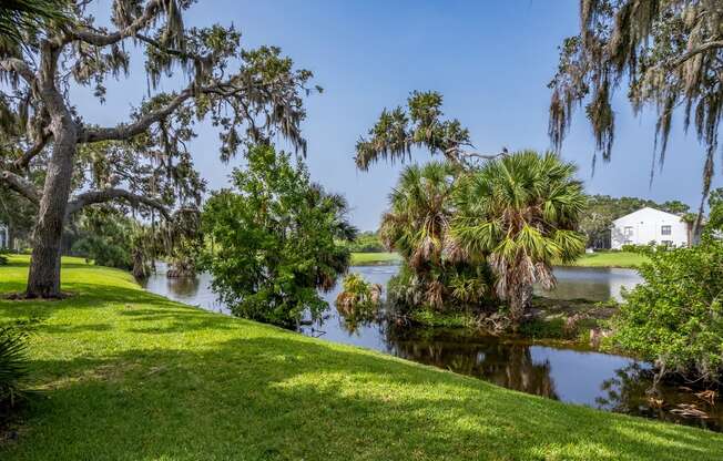 a view of a body of water with trees and a house