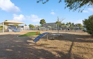 Community Dog Park with Agility Equipment at Tanque Verde Apartments located in Tucson, AZ.