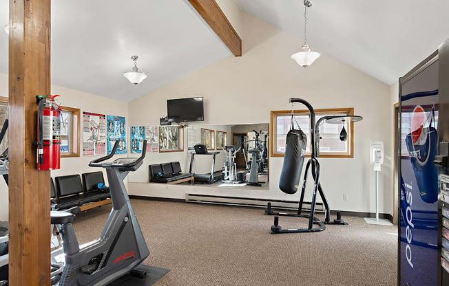 the gym has plenty of cardio equipment and a flat screen tv