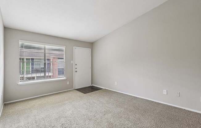 A room with a carpeted floor, a door, and a window with blinds.