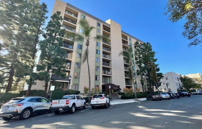 Stunning 2BD/2BA Condo in Downtown! With Parking and Washer/Dryer!