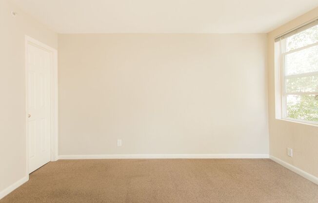 2 beds, 2 baths, 950 sqft, $2,995, Unit 204