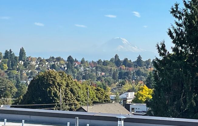 Studio, 1 bath, 325 sqft, $1,405, Unit 203